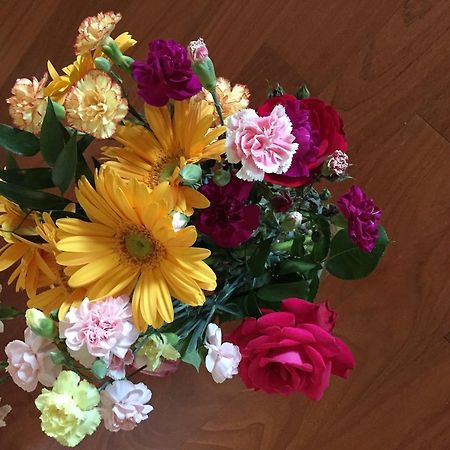 Guesthouse Flora لودي المظهر الخارجي الصورة