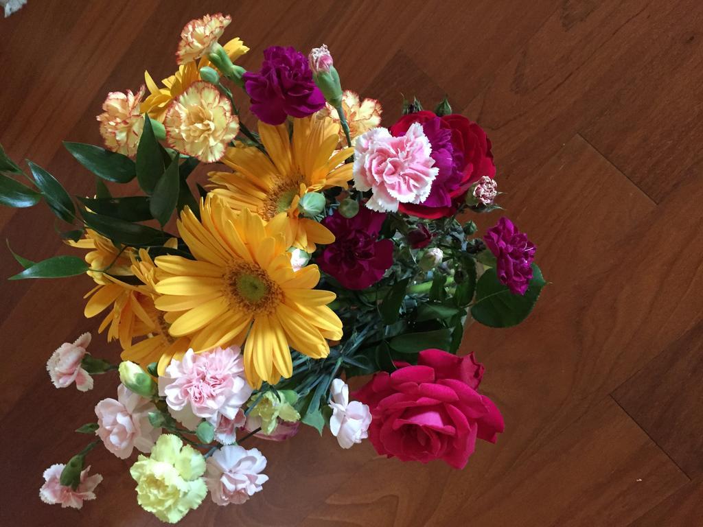 Guesthouse Flora لودي المظهر الخارجي الصورة